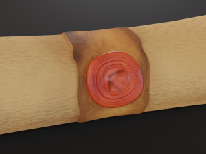 scroll Modello 3D