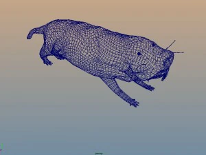 naked mole rat 3D Model