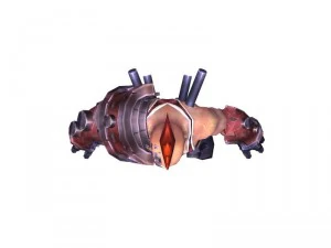 warrior man 3D Model