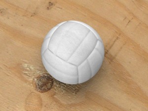 volleyball 3D Model