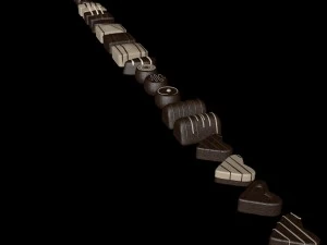 chocolate assorti 3D Model
