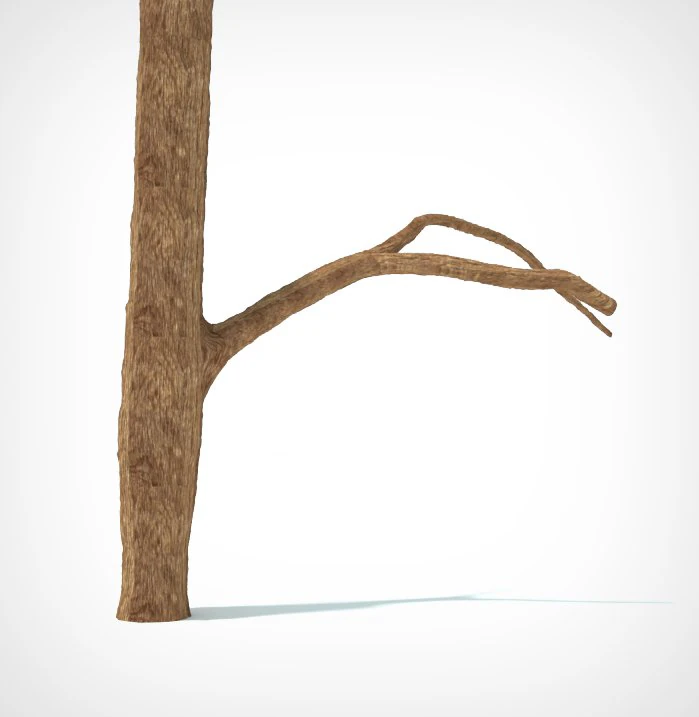 tree 3D Model .c4d .max .obj .3ds .fbx .stl .blend 