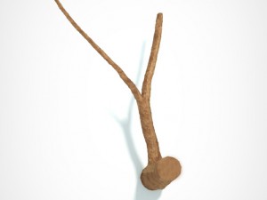 tree 3D 모델
