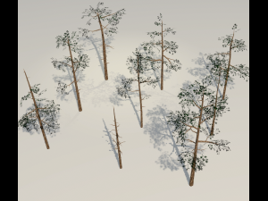 scots pine trees package Modèle 3D