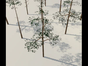 scots pine trees package 3D Model