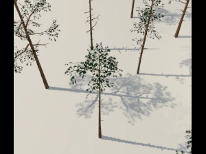 scots pine trees package 3D Model