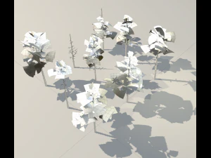 scots pine trees package 3D Model