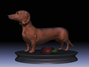 realistic dachshund model Modèle 3D