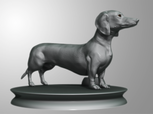 realistic dachshund model 3D Model
