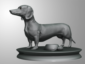 realistic dachshund model 3D Model