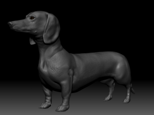 realistic dachshund model 3D Model