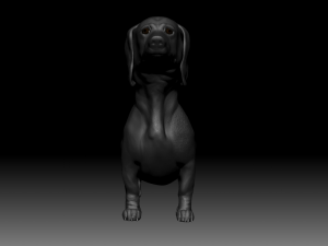 realistic dachshund model 3D Model