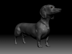 realistic dachshund model 3D Model