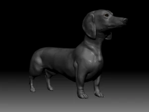 realistic dachshund model 3D Model
