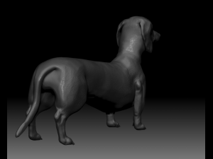 realistic dachshund model 3D Model