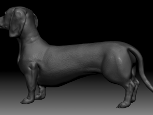 realistic dachshund model 3D Model