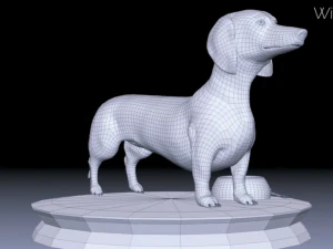 realistic dachshund model 3D Model