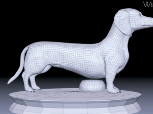 realistic dachshund model 3D Model