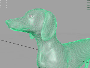 realistic dachshund model 3D Model