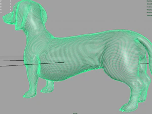 realistic dachshund model 3D Model