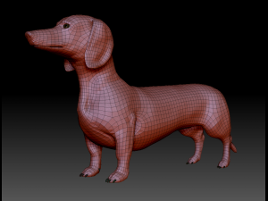 realistic dachshund model 3D Model