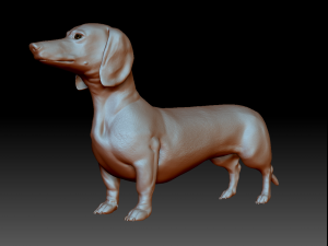 realistic dachshund model 3D Model