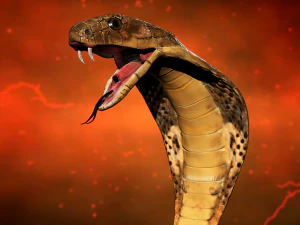 realistic king cobra - rigged 3D Model