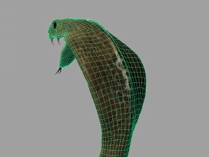 realistic king cobra - rigged 3D Модель