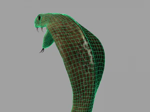 realistic king cobra - rigged 3D Model