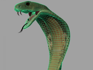 realistic king cobra - rigged 3D Модель