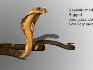 realistic king cobra - rigged 3D Модель
