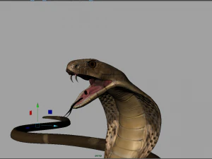 realistic king cobra - rigged 3D Model