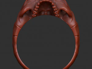 Skull ring 3D print model 3D Print Model