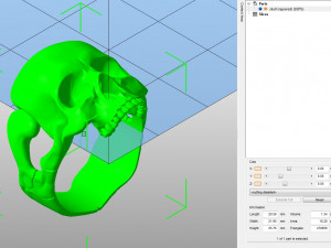 Skull ring 3D print model 3D Print Model