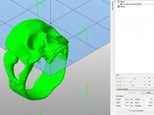 Skull ring 3D print model 3D Print Model