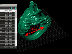 Bear ring 3D print model 3D Baskı Modeli