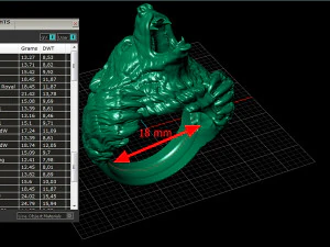 Bear ring 3D print model 3D Print Model