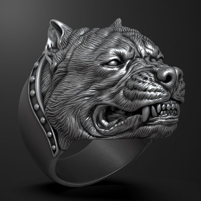 Ring with angry pitbull head 3D print model Modèles 3D en vedette .c4d .max .obj .3ds .fbx .stl .blend 