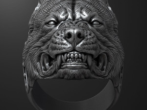 Ring with angry pitbull head 3D print model Modèles 3D en vedette