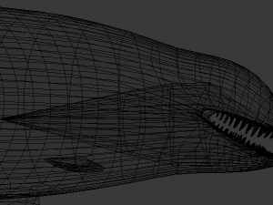 killer whale - orca 3D-Modell