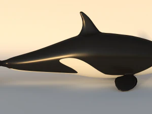 baleia assassina - orca Modelo 3D