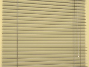 window blind Model 3D