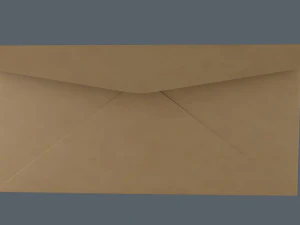 3D 봉투 dl 은행가 3D 모델