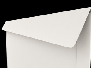 3d envelope size dl wallet Modelo 3D