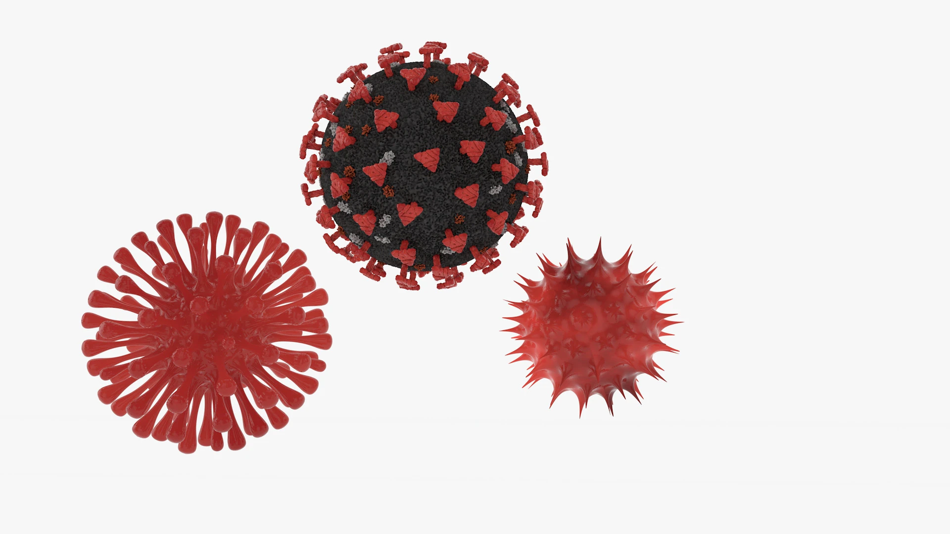 Corona Virus Covid 19 3D Model .c4d .max .obj .3ds .fbx .stl .blend