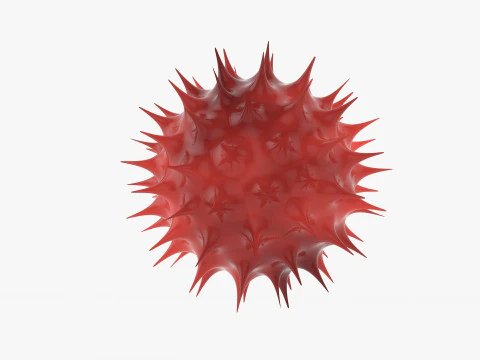 Corona Virus Covid 19 3D Model