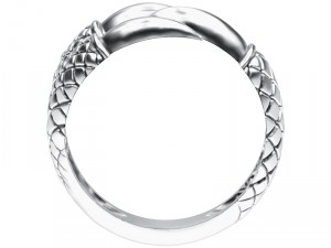 ring 009 claw 3D Принт Модель