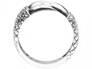 ring 009 claw 3D Print Model