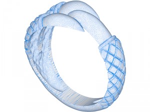 ring 009 claw 3D Принт Модель