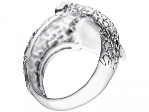 ring 011 claw 3Dプリントモデル